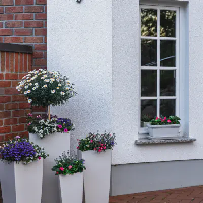 Exterior Painting